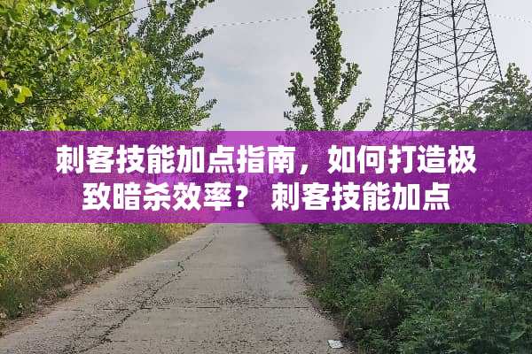 刺客技能加点指南,如何打造极致**效率? 刺客技能加点 刺客技能加点指南,如何打造极致**效率? 刺客技能加点