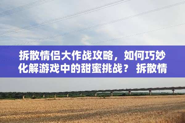 拆散情侣大作战攻略,如何巧妙化解游戏中的甜蜜挑战? 拆散情侣大作战攻略 拆散情侣大作战攻略,如何巧妙化解游戏中的甜蜜挑战? 拆散情侣大作战攻略
