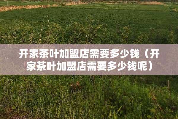 开家茶叶加盟店需要多少钱(开家茶叶加盟店需要多少钱呢) 开家茶叶加盟店需要多少钱(开家茶叶加盟店需要多少钱呢)