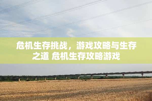 危机生存挑战,游戏攻略与生存之道 危机生存攻略游戏 危机生存挑战,游戏攻略与生存之道 危机生存攻略游戏