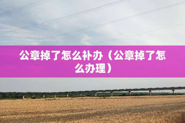 公章掉了怎么补办(公章掉了怎么办理) 公章掉了怎么补办(公章掉了怎么办理)