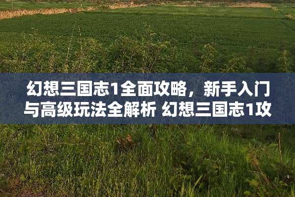 幻想三国志1全面攻略,新手入门与高级玩法全解析 幻想三国志1攻略 幻想三国志1全面攻略,新手入门与高级玩法全解析 幻想三国志1攻略