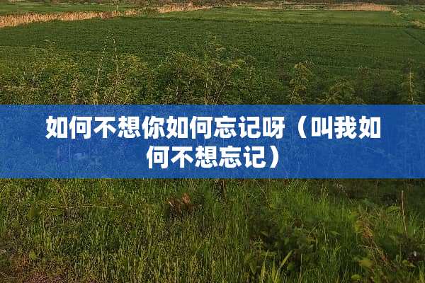 如何不想你如何忘记呀(叫我如何不想忘记) 如何不想你如何忘记呀(叫我如何不想忘记)
