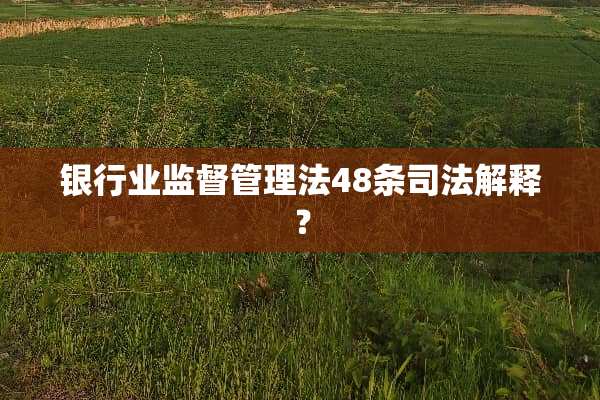 银行业监督管理法48条司法解释？