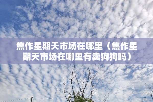 焦作星期天市场在哪里(焦作星期天市场在哪里有卖狗狗吗) 焦作星期天市场在哪里(焦作星期天市场在哪里有卖狗狗吗)