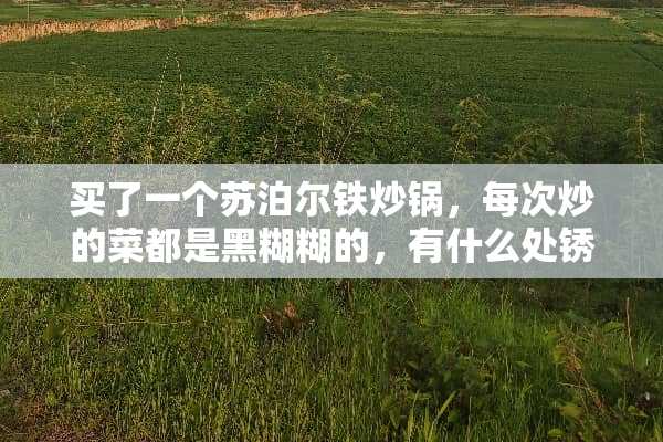 买了一个苏泊尔铁炒锅，每次炒的菜都是黑糊糊的，有什么处锈的好方法吗？