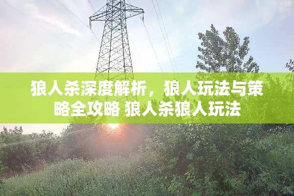 狼人杀深度解析,狼人玩法与策略全攻略 狼人杀狼人玩法 狼人杀深度解析,狼人玩法与策略全攻略 狼人杀狼人玩法