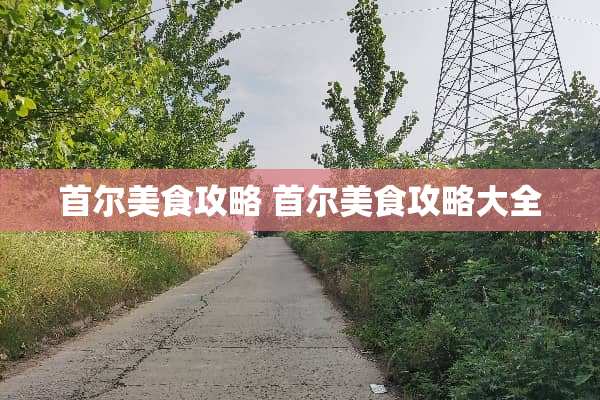 首尔美食攻略 首尔美食攻略大全