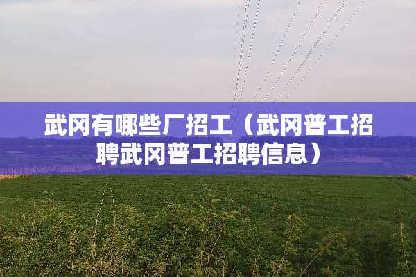 武冈有哪些厂招工（武冈普工招聘武冈普工招聘信息）