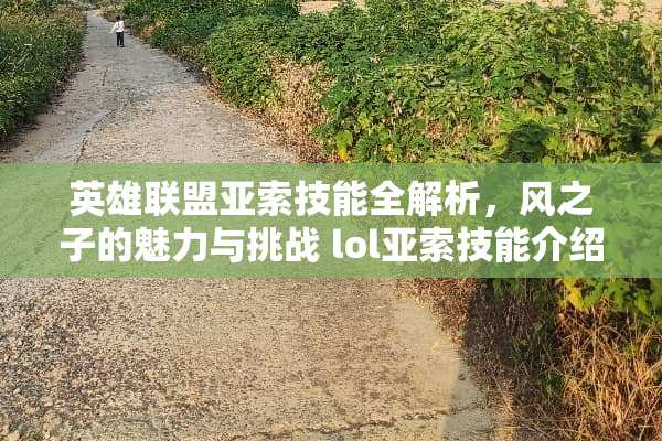 英雄联盟亚索技能全解析，风之子的魅力与挑战 lol亚索技能介绍