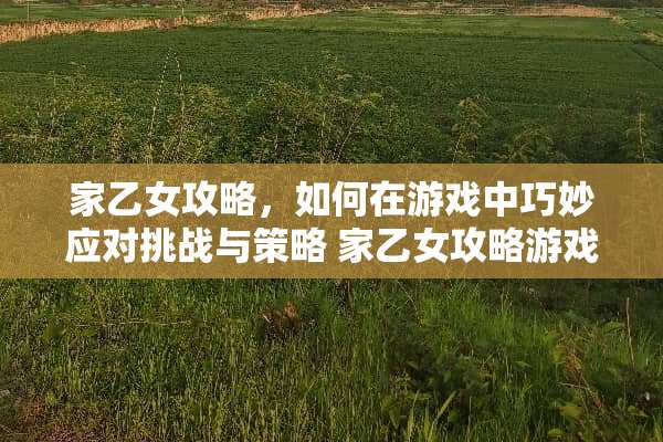 家乙女攻略,如何在游戏中巧妙应对挑战与策略 家乙女攻略游戏 家乙女攻略,如何在游戏中巧妙应对挑战与策略 家乙女攻略游戏