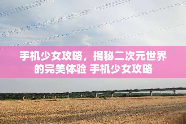手机少女攻略，揭秘二次元世界的完美体验 手机少女攻略