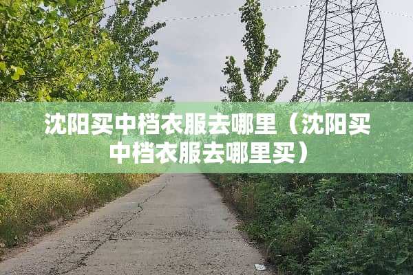 沈阳买中档衣服去哪里（沈阳买中档衣服去哪里买）