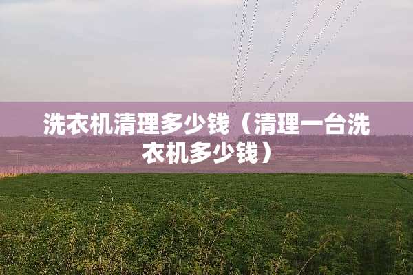 洗衣机清理多少钱（清理一台洗衣机多少钱）