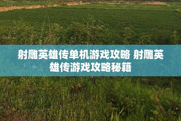 射雕英雄传单机游戏攻略 射雕英雄传游戏攻略秘籍