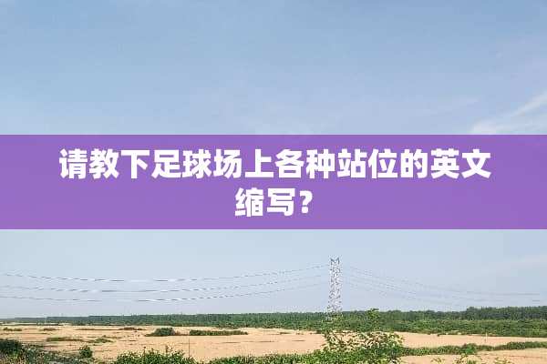 请教下**场上各种站位的英文缩写？