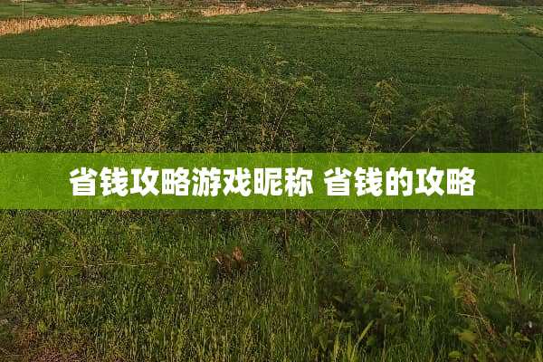 省钱攻略游戏昵称 省钱的攻略 省钱攻略游戏昵称 省钱的攻略