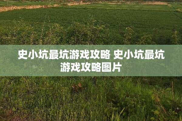 史小坑最坑游戏攻略 史小坑最坑游戏攻略图片 史小坑最坑游戏攻略 史小坑最坑游戏攻略图片