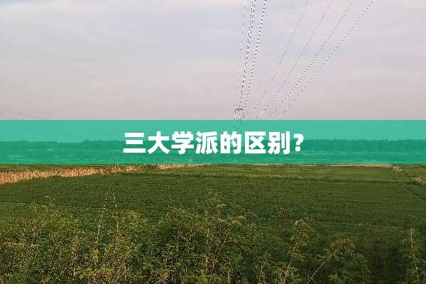 三大学派的区别？