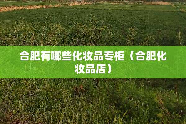 合肥有哪些化妆品专柜(合肥化妆品店) 合肥有哪些化妆品专柜(合肥化妆品店)