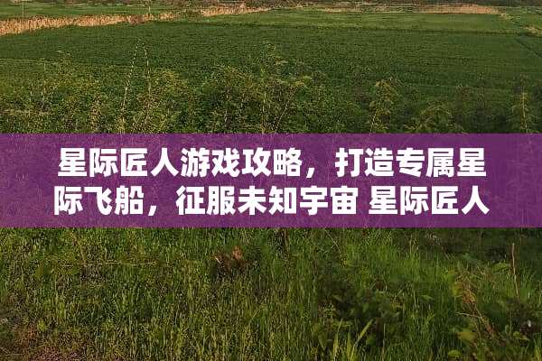 星际匠人游戏攻略，打造专属星际飞船，征服未知宇宙 星际匠人游戏攻略