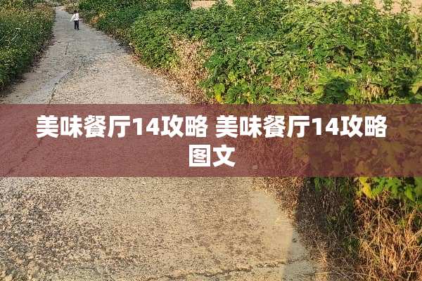 美味餐厅14攻略 美味餐厅14攻略图文 美味餐厅14攻略 美味餐厅14攻略图文