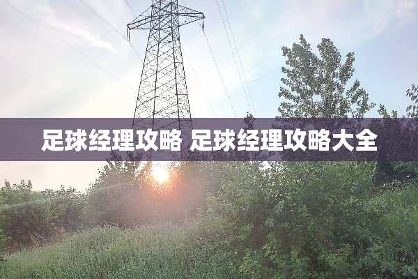 **经理攻略**经理攻略大全