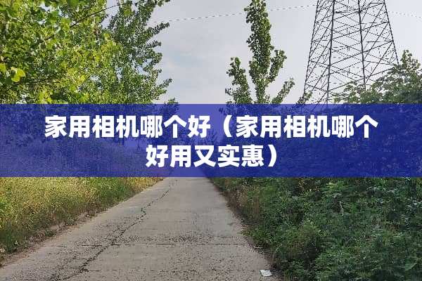 家用相机哪个好(家用相机哪个好用又实惠) 家用相机哪个好(家用相机哪个好用又实惠)