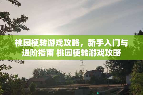 桃园梗转游戏攻略,新手入门与进阶指南 桃园梗转游戏攻略 桃园梗转游戏攻略,新手入门与进阶指南 桃园梗转游戏攻略