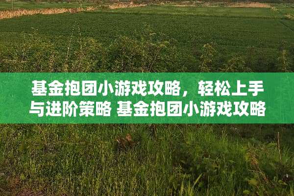 基金抱团小游戏攻略,轻松上手与进阶策略 基金抱团小游戏攻略 基金抱团小游戏攻略,轻松上手与进阶策略 基金抱团小游戏攻略