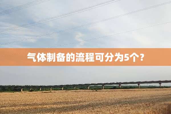 气体制备的流程可分为5个？