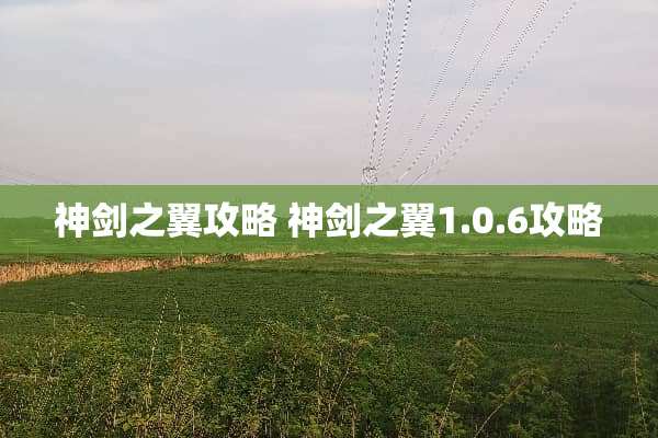 神剑之翼攻略 神剑之翼1.0.6攻略 神剑之翼攻略 神剑之翼1.0.6攻略