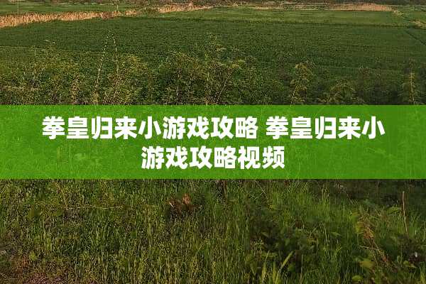 拳皇归来小游戏攻略 拳皇归来小游戏攻略视频 拳皇归来小游戏攻略 拳皇归来小游戏攻略视频