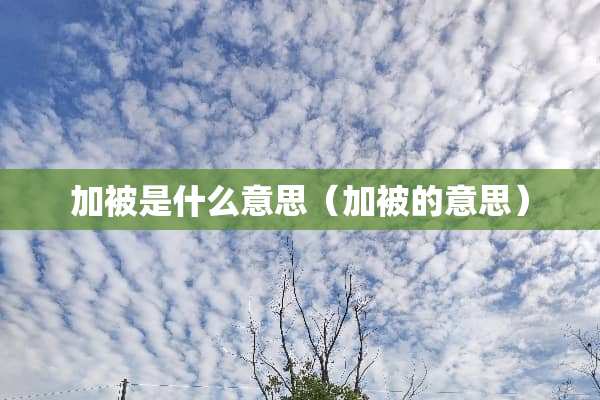 加被是什么意思(加被的意思) 加被是什么意思(加被的意思)