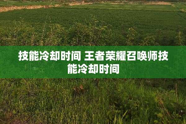 技能**时间 王者荣耀召唤师技能**时间 技能**时间 王者荣耀召唤师技能**时间