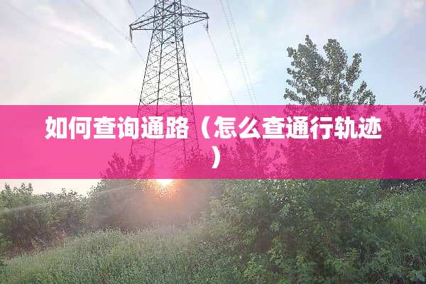 如何查询通路（怎么查通行轨迹）