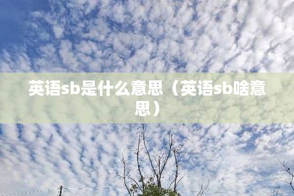 英语sb是什么意思(英语sb啥意思) 英语sb是什么意思(英语sb啥意思)