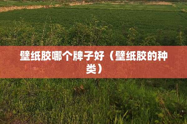 壁纸胶哪个牌子好（壁纸胶的种类）