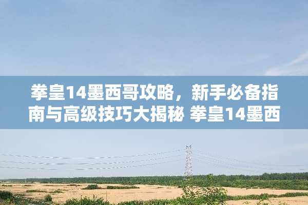 拳皇14墨西哥攻略,新手必备指南与高级技巧大揭秘 拳皇14墨西哥攻略游戏 拳皇14墨西哥攻略,新手必备指南与高级技巧大揭秘 拳皇14墨西哥攻略游戏