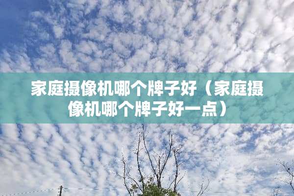 家庭**机哪个牌子好（家庭**机哪个牌子好一点）