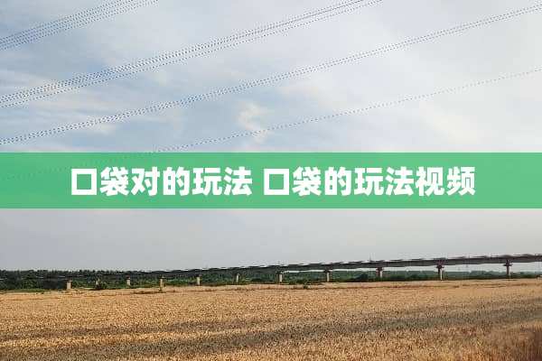 口袋对的玩法 口袋的玩法视频 口袋对的玩法 口袋的玩法视频