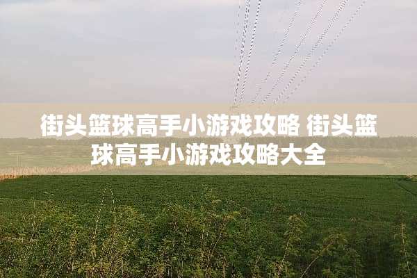 街头篮球高手小游戏攻略 街头篮球高手小游戏攻略大全