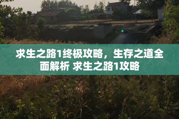 求生之路1终极攻略，生存之道全面解析 求生之路1攻略