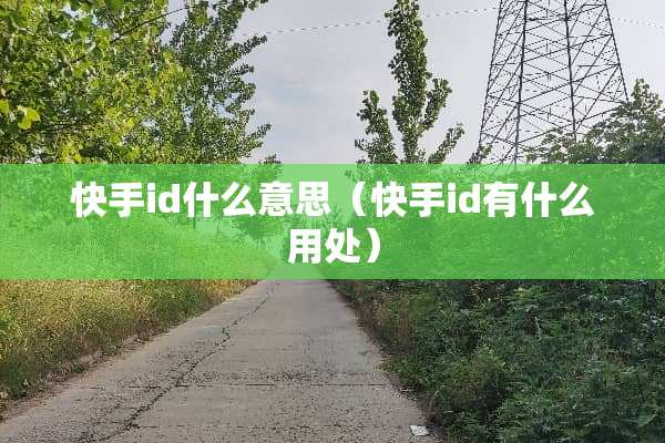 快手id什么意思(快手id有什么用处) 快手id什么意思(快手id有什么用处)