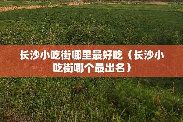 长沙小吃街哪里最好吃（长沙小吃街哪个最出名）