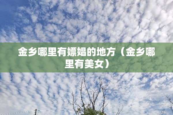 金乡哪里有嫖娼的地方（金乡哪里有美女）