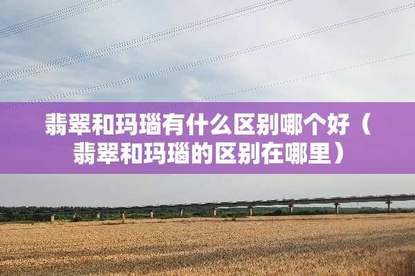 翡翠和玛瑙有什么区别哪个好(翡翠和玛瑙的区别在哪里)