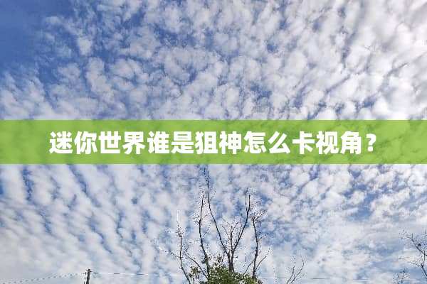 迷你世界谁是狙神怎么卡视角？