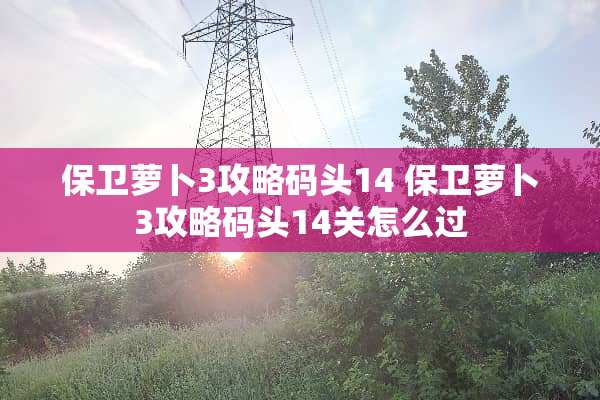 保卫萝卜3攻略码头14 保卫萝卜3攻略码头14关怎么过 保卫萝卜3攻略码头14 保卫萝卜3攻略码头14关怎么过