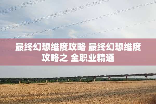 最终幻想维度攻略 最终幻想维度攻略之**业精通 最终幻想维度攻略 最终幻想维度攻略之**业精通